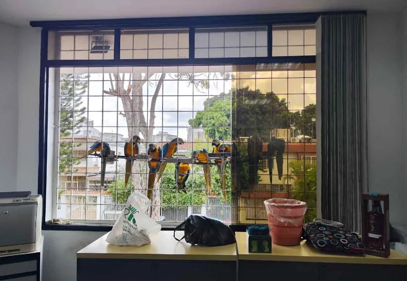 Oficinas Tyseca